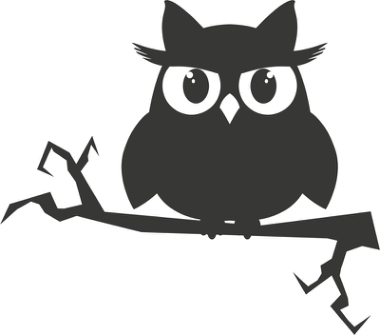 Owl On A Branch Sticker Free Vector, Free Vectors File