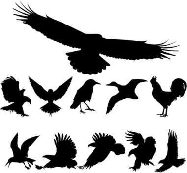 Free Vector Birds Silhouettes Free Vector, Free Vectors File