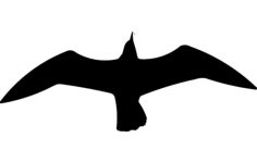 Seagul Silhouette DXF File, Free Vectors File