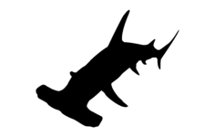 Hammer Head Shark Silhouette DXF File, Free Vectors File