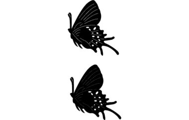 Butterflies10 DXF File, Free Vectors File