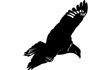 Flying Eagle DXF File, Free Vectors File