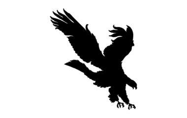 American Eagle Landing DXF File, Free Vectors File