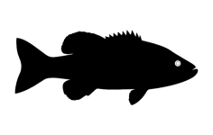 Fish Silhouette DXF File, Free Vectors File