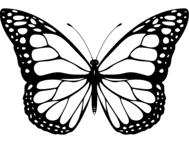 Butterfly Design DXF File, Free Vectors File