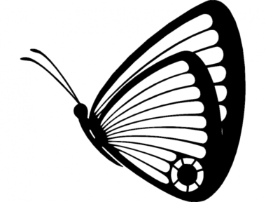 Butterfly 05 DXF File, Free Vectors File