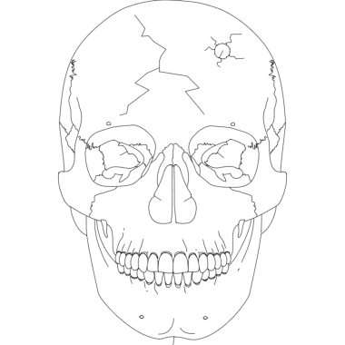 Skull 2 DXF File, Free Vectors File