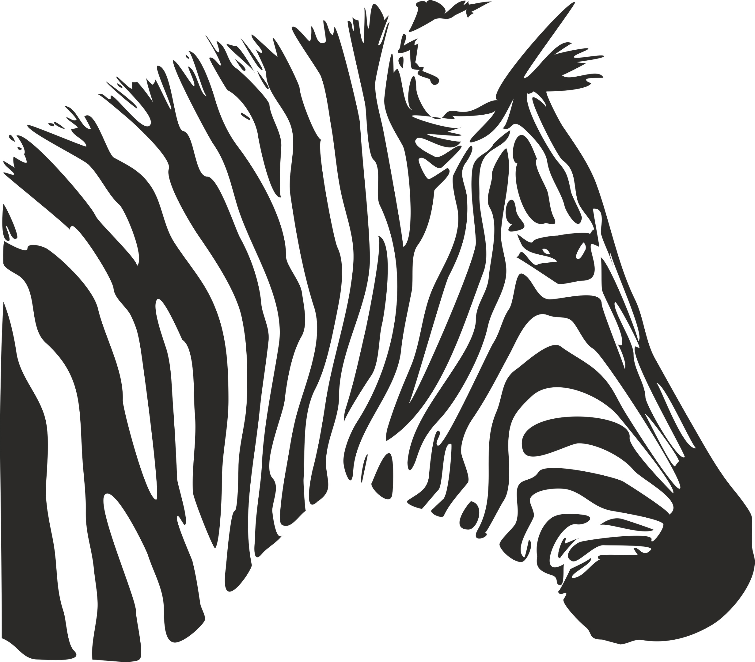 Zebra Stencil Free Vector Free Vectors