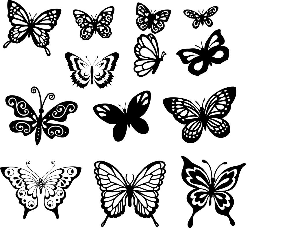 Butterfly Vector Art Set Free Vector Free Vectors
