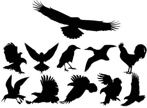 Birds Silhouettes Free Vector Free Vectors