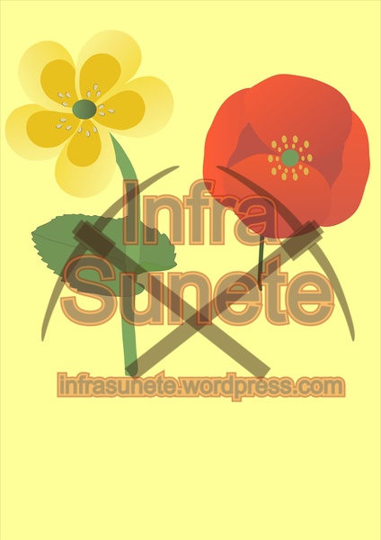 Two Flowers Free Vector Free Vectors