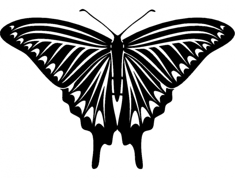 Butterfly 04 DXF File Free Vectors