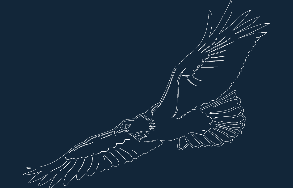 Eagle2 -1.Free DXF File Free Vectors