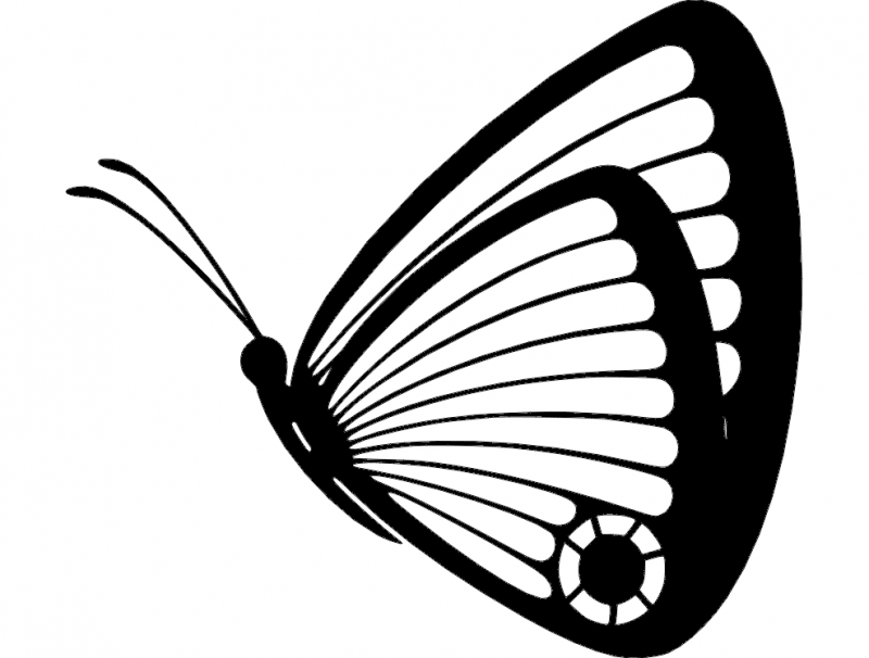 Butterfly 05 DXF File Free Vectors