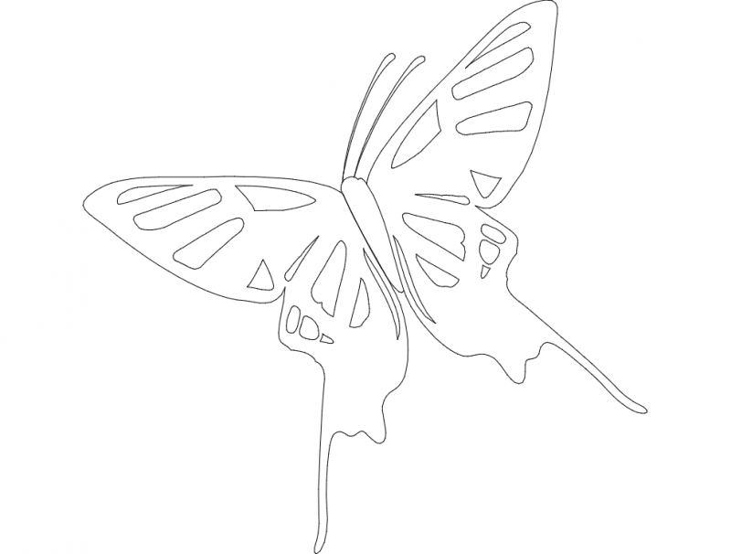 Butterfly DXF File Free Vectors