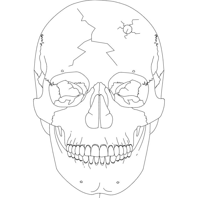 Skull 2 DXF File Free Vectors